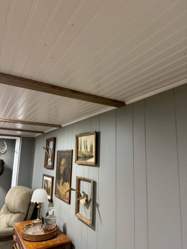 basement ceiling idea