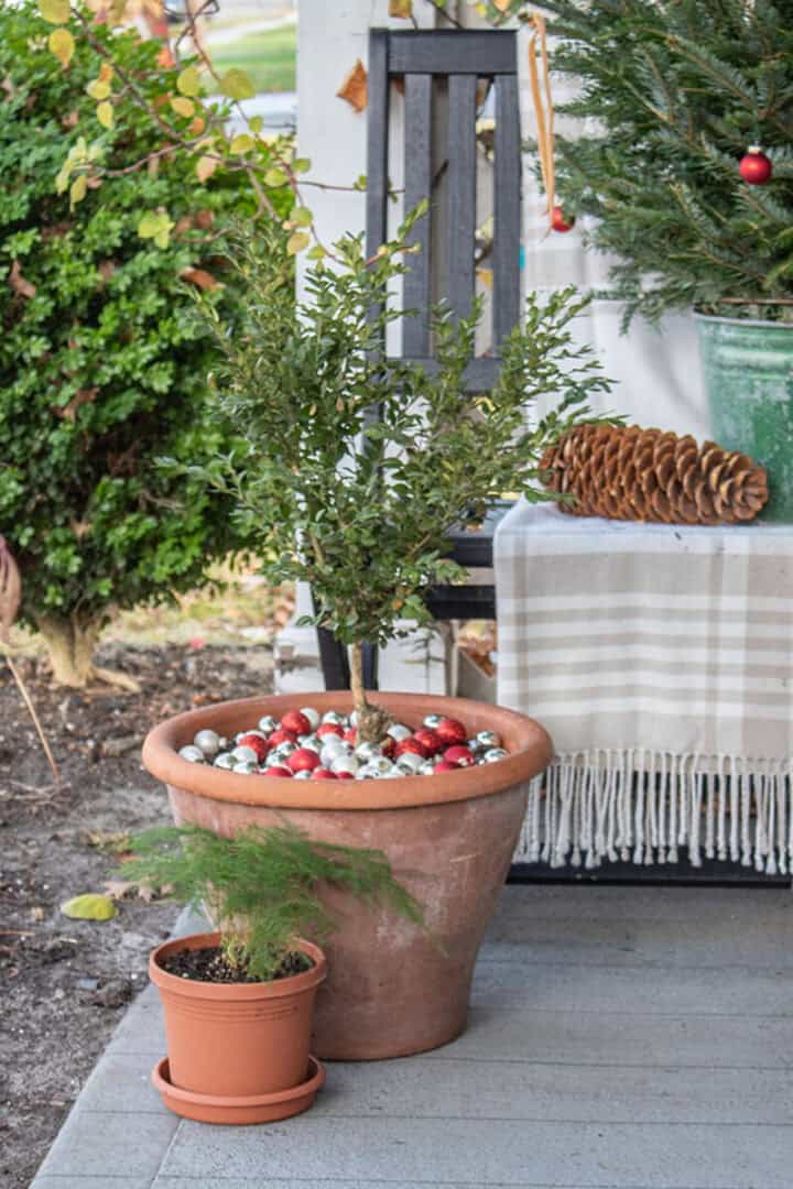 Christmas-porch-plant-ideas