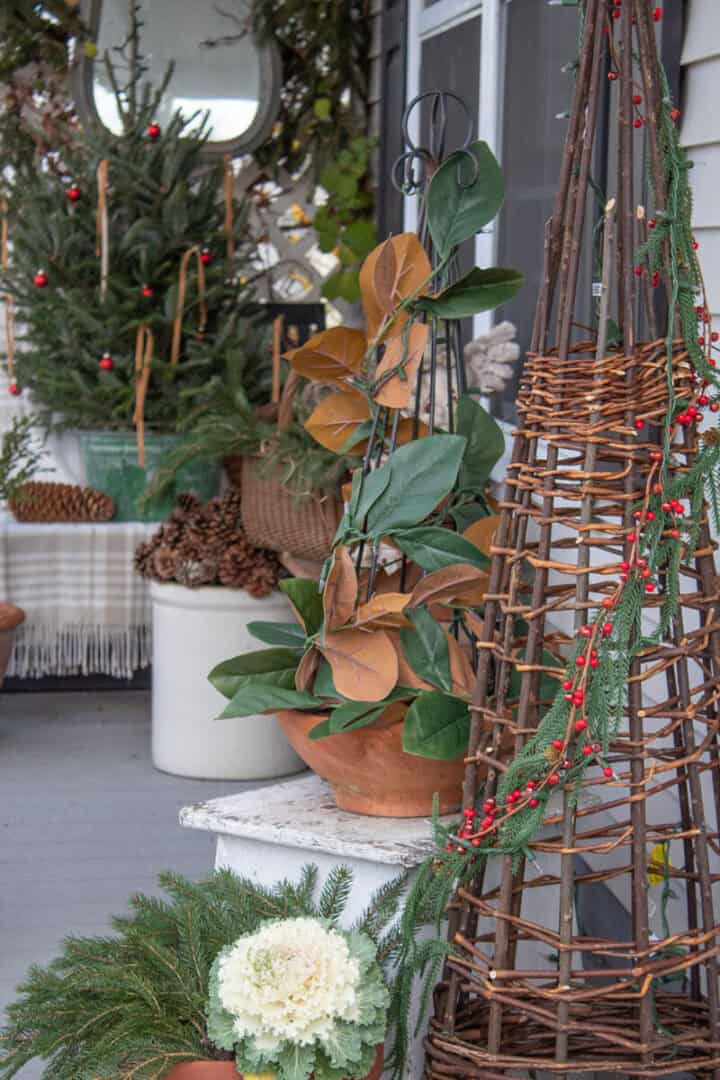 evergreen planter ideas