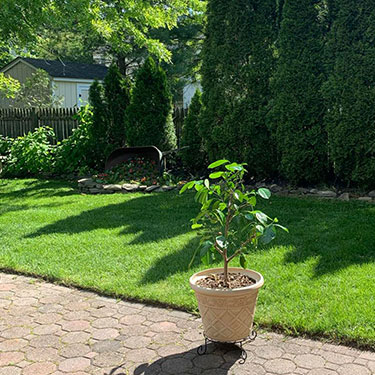 13 Garden Projects You Can Do In A Weekend
