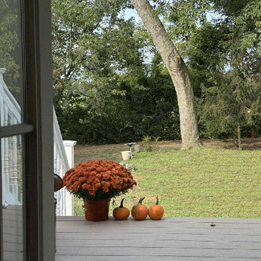 My Simple Fall and Halloween Decor – The Honeycomb Home