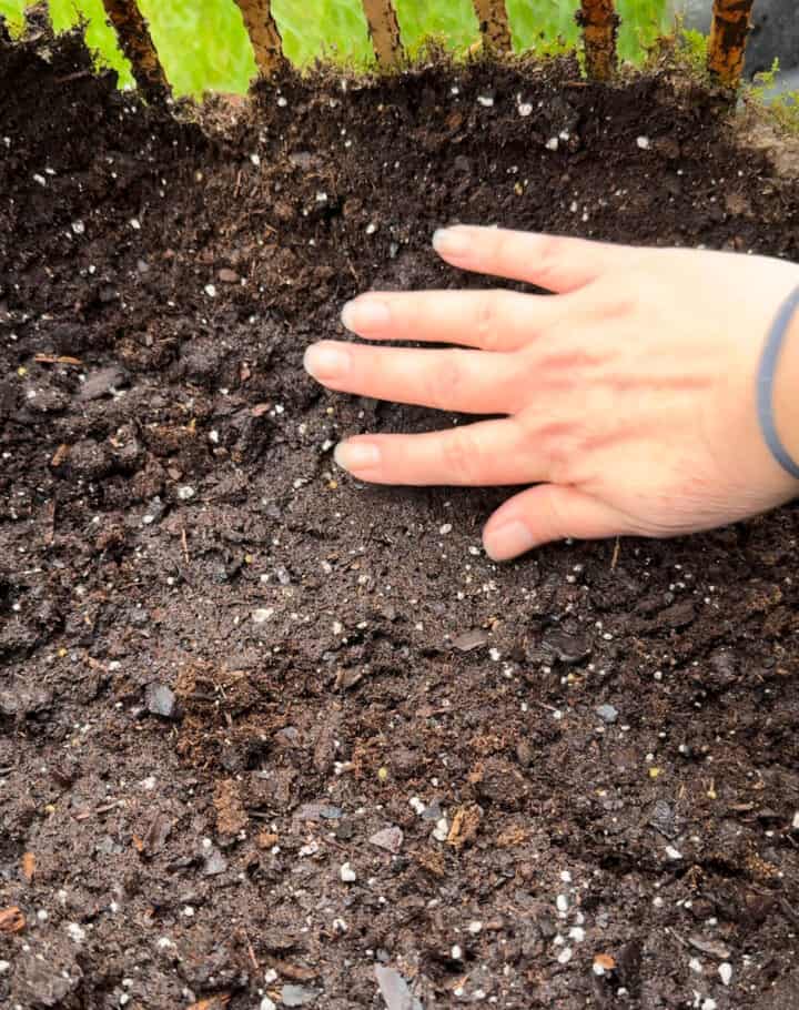 how-to-line-an-open-planter-with-moss-720x910-1 how-to-line-an-open-planter-with-moss