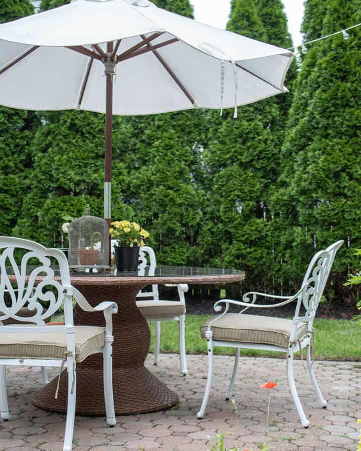 small garden ideas