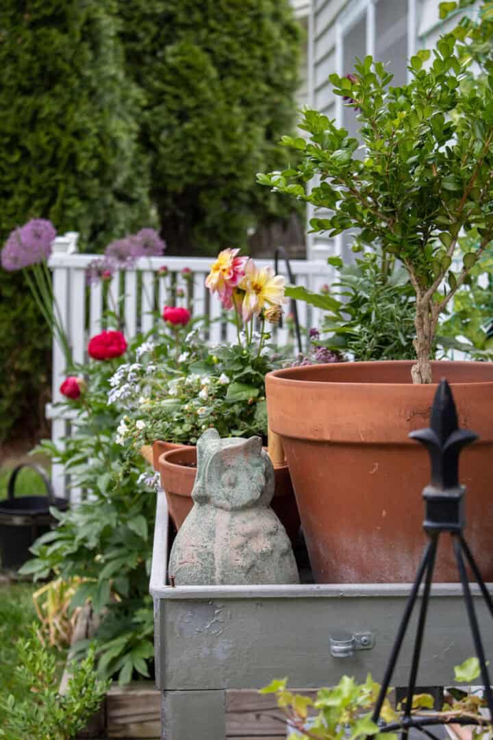 small garden ideas