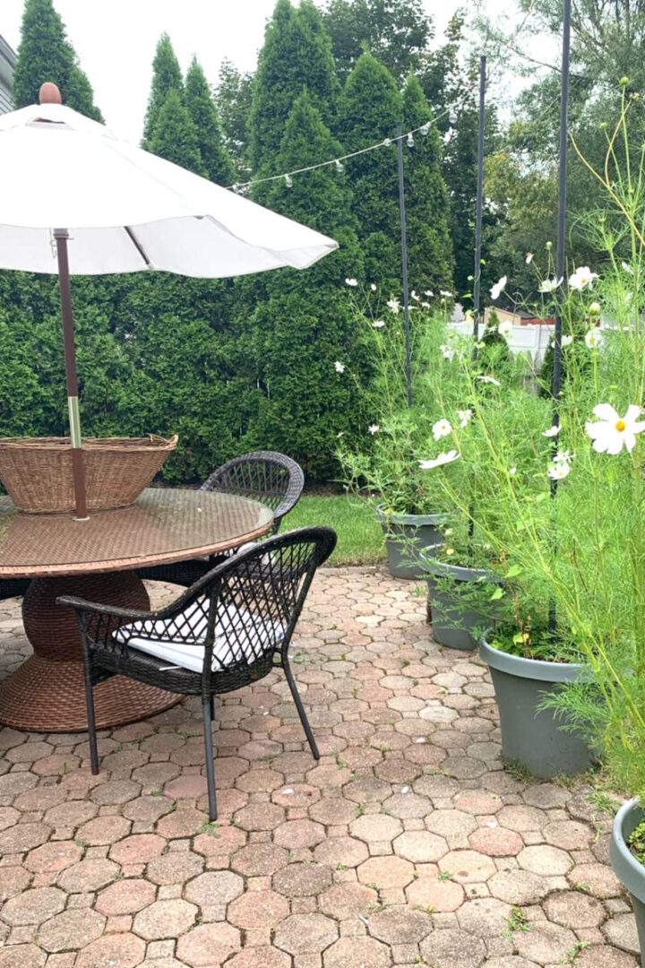 patio-with-string-lights