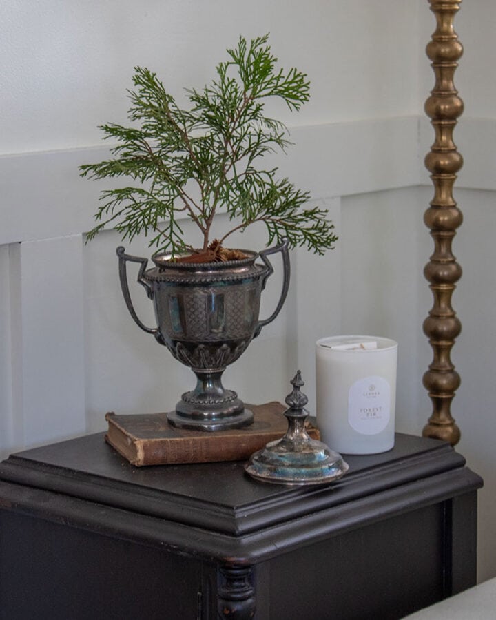 easy DIY natural Christmas decorations