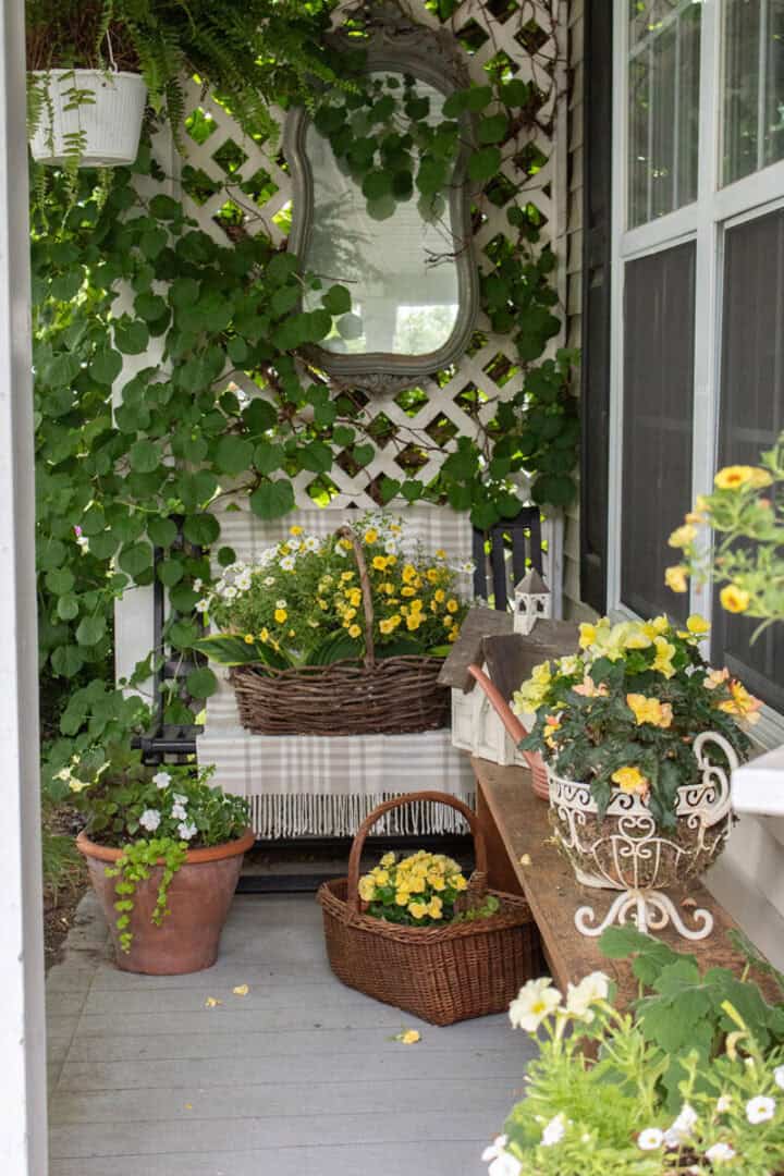 small-porch-flowers-ideas - porch privacy idea