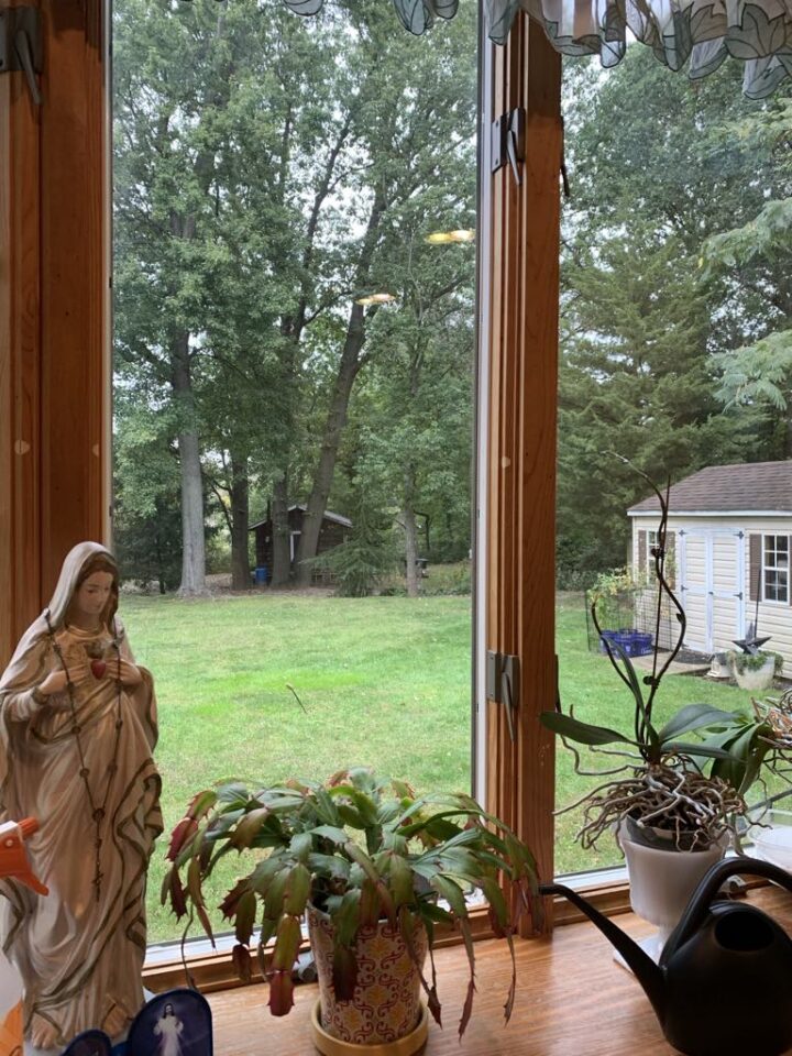 backyard view